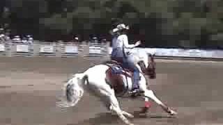 preview picture of video '2008 WOODSIDE RODEO ROYALTY'