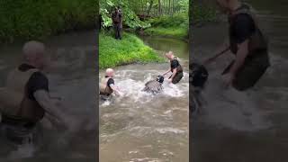 Marine Corps Martial Arts Program #shorts