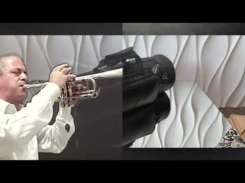 Si en Valles de Peligros - Fernando Lopez