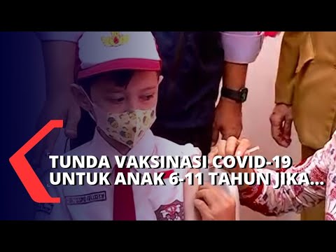 <p>KOMPAS.TV - Sejauh ini, jenis vaksin yang akan digunakan untuk anak 6-11 tahun adalah vaksin Sinovac, sesuai izin penggunaan darurat yang telah diterbitkan oleh Badan Pengawas Obat dan Makanan (BPOM).</p>
<p>DKI Jakarta, Banten, dan Jawa Barat menjadi daerah pertama yang menyelenggarakannya.</p>
<p>Juru Bicara Vaksinasi Covid-19 Kementerian Kesehatan (Kemenkes), Siti Nadia Tarmizi memastikan, vaksinasi Covid-19 bagi anak usia 6-11 tahun ini aman; orang tua pun tak perlu khawatir.</p>
<p>Ketua Ikatan Dokter Anak Indonesia (IDAI), Dr. Pimprim Basarah, menganjurkan agar orang tua segera membawa anaknya untuk mendapatkan vaksinasi, kecuali jika anak memiliki kondisi medis tertentu.</p>
<p>Konsultasi dengan dokter yang merawat juga diperlukan sebelum menerima vaksin Covid-19 anak-anak.</p>
<p>Apalagi mereka yang memiliki penyakit autoimun, seperti defisiensi imun primer, penyakit autoimmun tidak terkontrol, sindrom gilan bar, mielitis transversa, acute demyelinating, dan ensepalomielitis.</p>
<p>Baca Juga Jokowi: Vaksinasi Lindungi Anak dari Covid-19 Varian Lama Maupun Baru di   kompas.tv/article/242127/jokowi-vaksinasi-lindungi-anak-dari-covid-19-varian-lama-maupun-baru</p>
<p>Vaksinasi juga harus ditunda pada anak dengan kanker yang sedang menjalani kemoterapi atau radio terapi, dan anak yang mendapatkan pengobatan imunosupresan, atau sitostatika berat.</p>
<p>Para orang tua pun tak perlu bingung mencari lokasi vaksinasi anak 6-11 tahun karena Kemenkas akan menggandeng satuan pendidikan untuk menggelar vaksinasi Covid-19 di sekolah-sekolah, selain di posko vaksinasi dan fasilitas kesehatan (faskes) seperti yang selama ini berjalan.</p>
<p>Vaksinasi Covid-19 untuk anak usia 6-11 tahun sudah dimulai di sejumlah daerah.</p>
<p>Artikel ini bisa dilihat di :    kompas.tv/article/242210/ingin-bawa-anak-6-11-tahun-untuk-vaksinasi-covid-19-perhatikan-ini-dulu</p>

