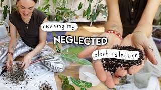 things need to change... Walkthrough of My Neglected Plants + Getting On Top Again 🌿