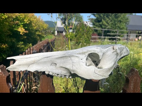 Bieszczady mountains Poland 