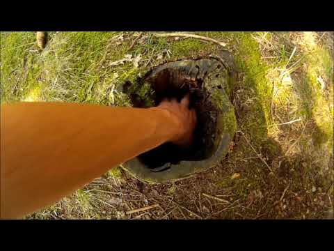 Geocaching Hřiměždice - Bůček GC3541B