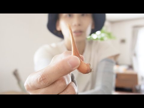 ネギ、ニンニク、ニンニク、ネギ