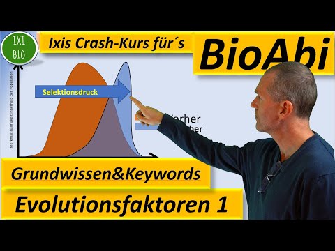 Evolution 1 Evolutionary Factors - Basic Knowledge - Overview - Vocabulary Training (Keywords) Bi...
