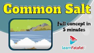 Class 10 Science Chapter 2 Acids Bases and Salts - Common Salt | Uses of Common Salt | CBSE