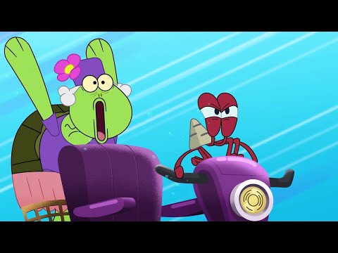 THE RACE 🔥 NEW The Adventures of Bernie | Zig & Sharko - Cartoons for Kids