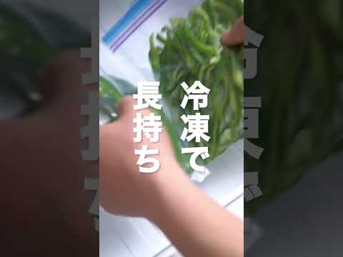 ピーマンの冷凍:とても簡単です ライフスタイル