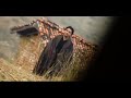 Gunjan Singh Ka Sabse Pehla Sad Song Kaise Man Banwalu Dusra Se Sagai Ke Mehandi Rachai Ke Na