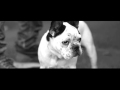 Yunus Pers feat MC Sailaubek - Давай взрывай (Official video ...