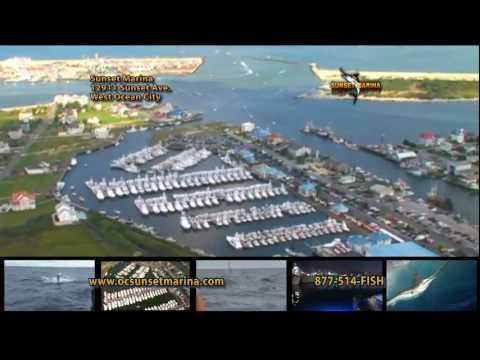 White Lightning fishing video