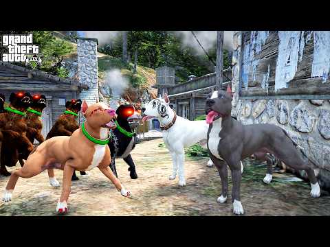 PITBULL LADY JR, WHAT DID YOU DO?! TERMINATOR IS SHOCKED! - GTA 5 PITBULL'S LIFE