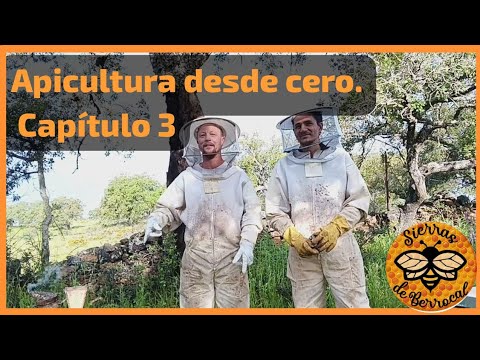 Apicultura desde cero. Capítulo 3 "Multiplicación del apiario"