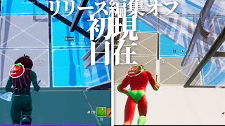 アラフォーがリリース編集オフで遊び続けた結果【FORTNITE】