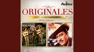 Golondrina de ojos negros