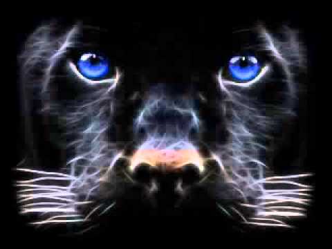 Dj Unscarred - Kick flip shove it