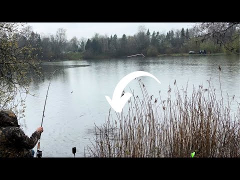 Grundangeln auf Forellen am Forellensee