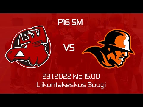 Happee-Oilers P16 SM