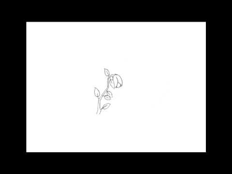 Marlene Magnoli - Zwitscher (Cut)