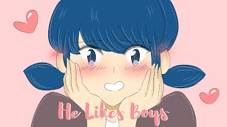 He Likes Boys - Animatic | Miraculous Ladybug