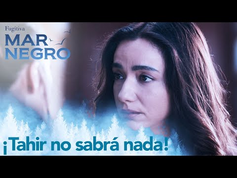 Asiye no quiere que Tahir se entere - Capítulo 66 | Fugitiva