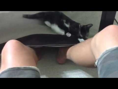 Kitten scratches my feet!