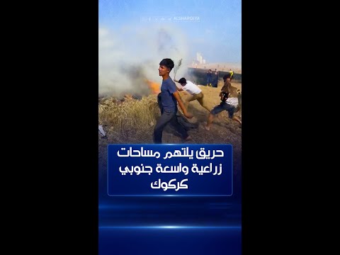 شاهد بالفيديو.. حريق ضخم يلتهم مساحات زراعية كبيرة جنوبي كركوك#الشرقية_نيوز