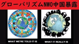 こどおじ世代を創った1992新生党勢力！PRC中華人民共和国1949年NWO用国家コドオバ全原因暴露！グローバリズム犠牲1992年以降NWO暗黒中国共産党を造った責任グローバリズム正体黒幕解説動画