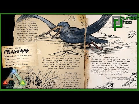 Ark Basic Pelagornis  - EVERYTHING YOU NEED TO KNOW