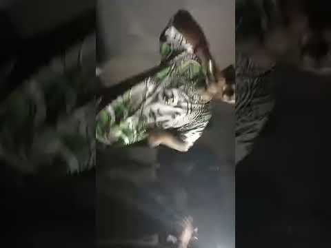 Kevin Smokio x Reezy x TeeCee Kaam 25 Live 🔥 | DopeGang Live On Stage |DopeDanger