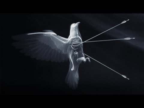 Natos y Waor and RECYCLEDJ