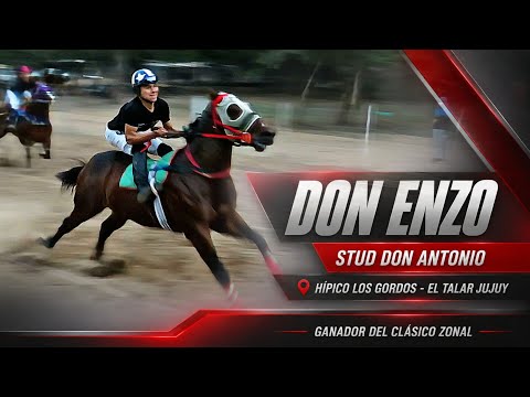 1° DON ENZO   2°PATRONA  Club Hípico Los Gordos el Talar Jujuy  Sábado 11 Julio 2026