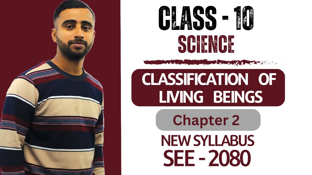 WHAT IS CLASSIFICATION CLASS 10 visual data 7