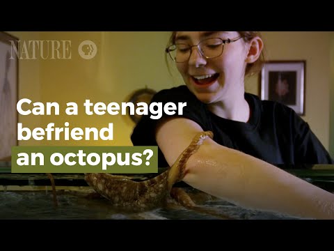 download lagu mp3 mp4 Contact Octopus, download lagu Contact Octopus gratis, unduh video klip Contact Octopus