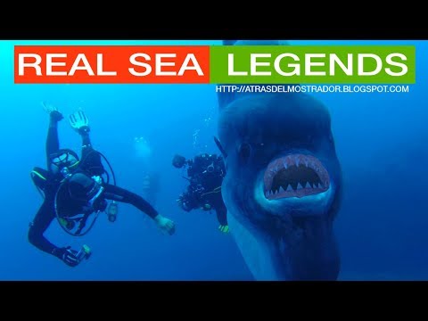 LEGGENDE REALI DEL MARE (MOSTRO, CREATURE MITICHE)