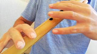 Video thumbnail for Tepui Bansuri, E Bass Sample. by Tepui Bansuri