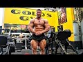 Training im Golds Gym. Tim sieht brutal aus