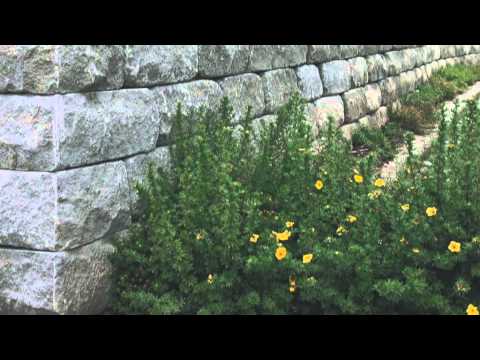 SANTURO Mauerkultur - Landhausmauer