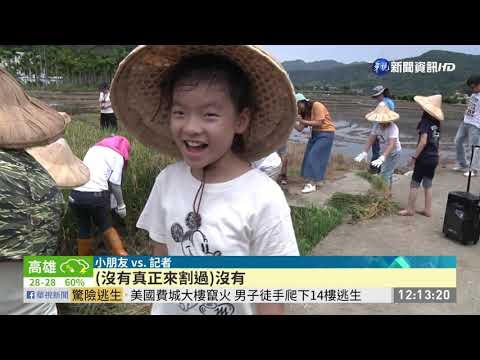 體驗農夫割稻樂! 郁方全家總動員