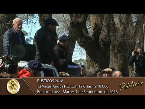 04-09-18 Venta de Vacas Angus P.C. Ccon Cría - Rústicos 2018 - Benito Juárez
