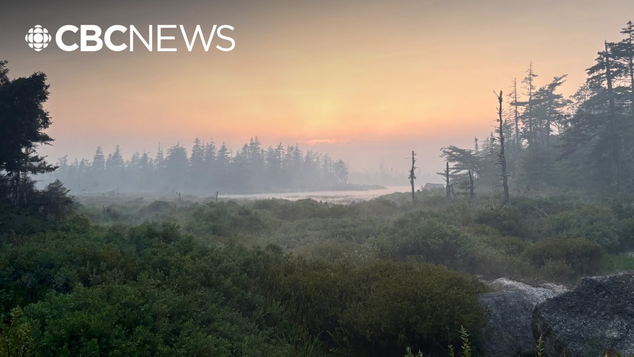 Video: Nova Scotia issues mandatory evacuation for Mooseland Road wildfire near Jacket Lake