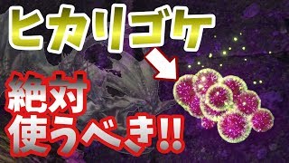 【モンハンワールドIB】見つけたらまず最優先⁉︎ヒカリゴケの恐るべき効果&あのモンスターがめちゃくちゃ簡単になるスリンガー弾など紹介！【MHWI】