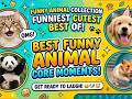 Try Not To Laugh Best Funny Animal Core Moments Funniest Cutest Collection