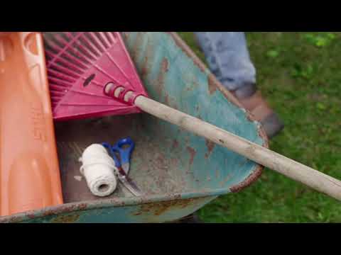 TUTORIAL - ¿CÓMO CORTAR Y MANTENER TUS SETOS ESTA TEMPORADA?