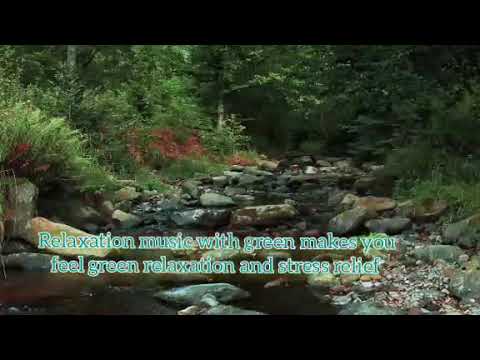Relaxation music with nature of green/Healing music/soothing zen relaxation music