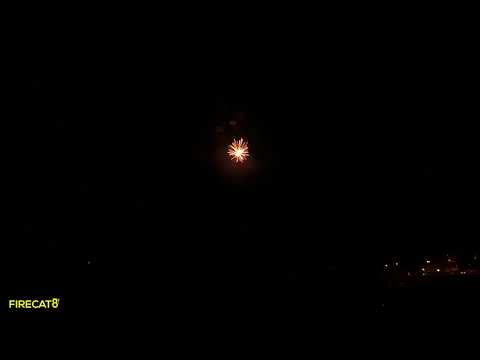 76 Pro Line - RWB Peony