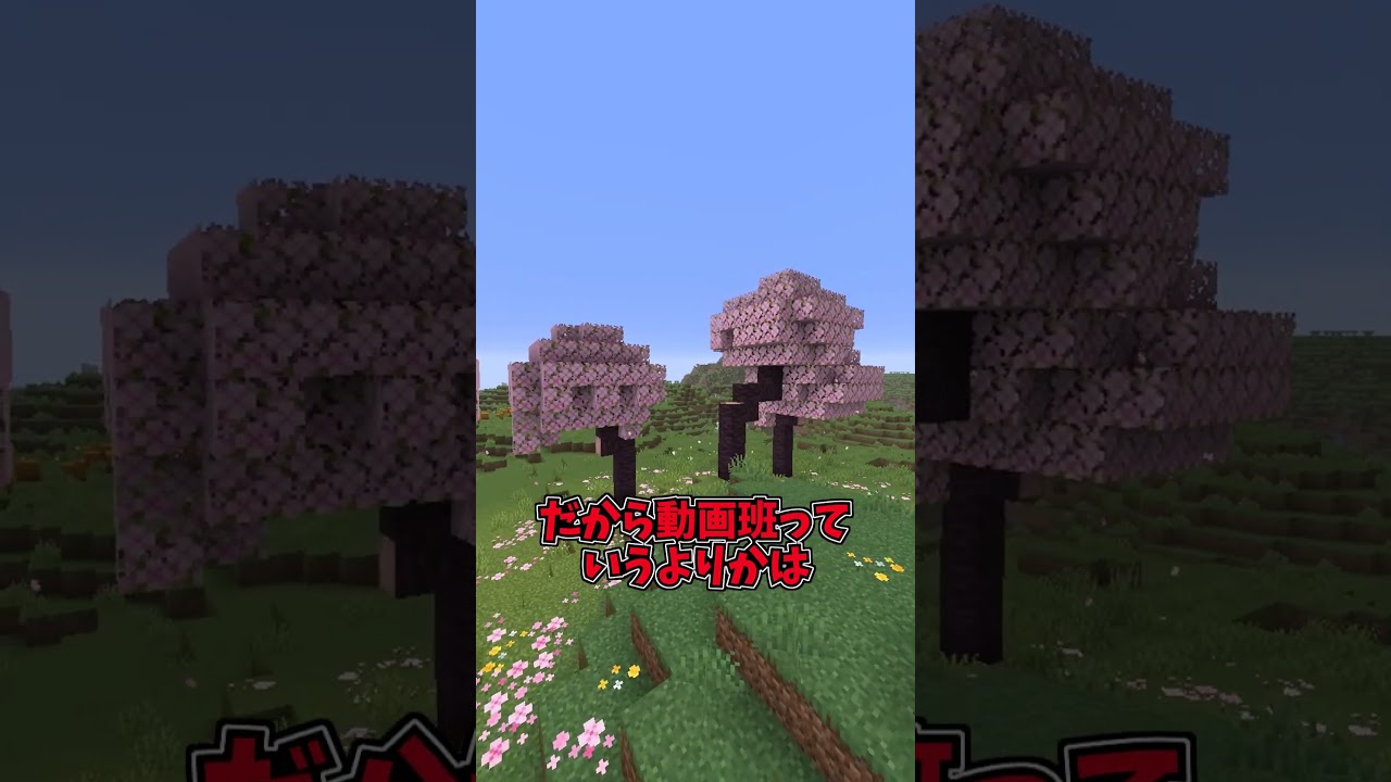 一緒に撮影してくれる動画班募集します！！【マインクラフト/Minecraft】 #マイクラ #マインクラフト #shorts  #ゆっくり実況 #minecraft