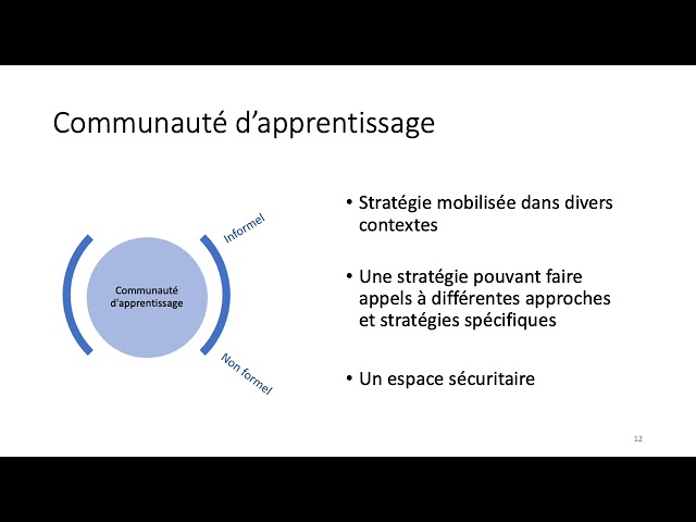 Conférence: «Contextes et stratégies de formation relative à l&rsquo;environnement privilégiés par des élu·e·s» – Partie 3