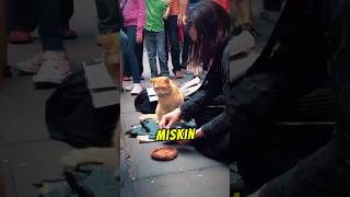 Download lagu Dari Miskin Jadi Orang Kaya Sebab Selamatkan Seekor Kucing mp3