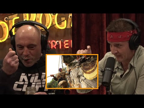 Joe Rogan: Joe tries the MAD HONEY from Himalayas with Sonny from Best Ever Food Review Show!